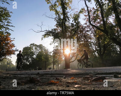 Vondelpark im Spätsommer, der niederländischen, der Nördlichen Niederlande, Amsterdam Stockfoto