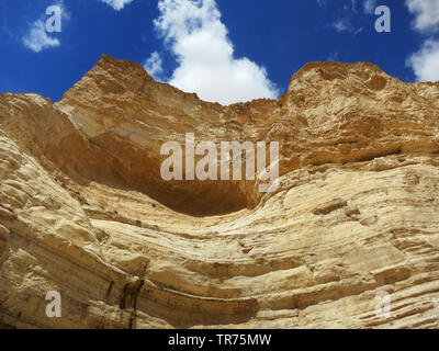 Wadi Ein Avdat, Israel, Negev, Sde Boker Stockfoto