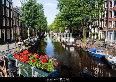 Kanal mit Haus Boote in Amsterdam, Niederlande, Nördlichen Niederlande, Amsterdam Stockfoto