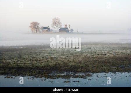 Haus von Bäumen in einer nebligen Landschaft in Ouderkerk, Niederlande, Nördliche Niederlande, Ouderkerk umgeben Stockfoto