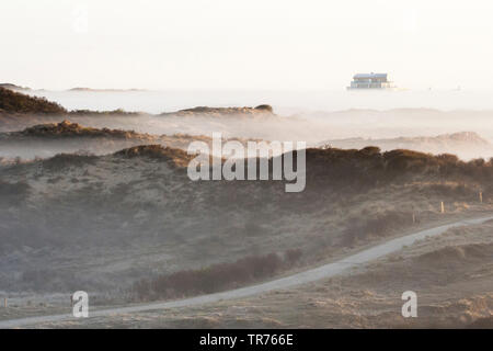 Misty Dünen bei Katwijk im Frühjahr, Niederlande, Südholland, Katwijk Stockfoto