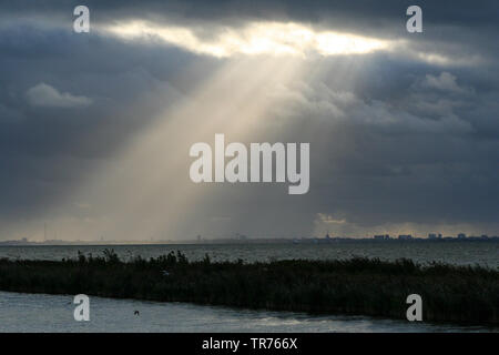 Sun brechen über Markermeer, Niederlande, Flevoland, Oostvaardersplassen Stockfoto