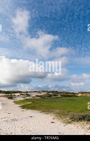 Landschaft am Zuidduinen im Sommer, Niederlande, Südholland, Zuidduinen, Hoogheemraadschap van Rijnland Stockfoto