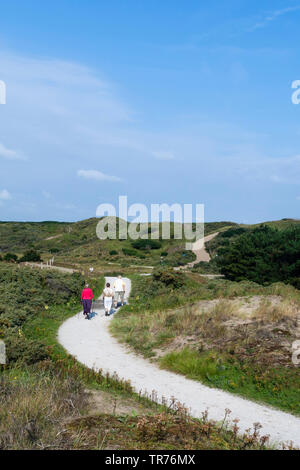 Senioren Wanderweg am Zuidduinen im Sommer, Niederlande, Südholland, Zuidduinen, Hoogheemraadschap van Rijnland Stockfoto