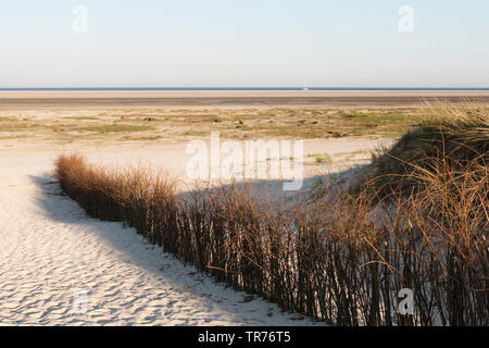 Sandpath zum Wattenmeer, Niederlande, Schiermonnikoog Stockfoto