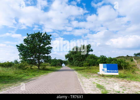 Meijendel neben einer Straße im Sommer, Niederlande, Südholland, Meijendel, Hollandse Duinen Nationalpark Stockfoto