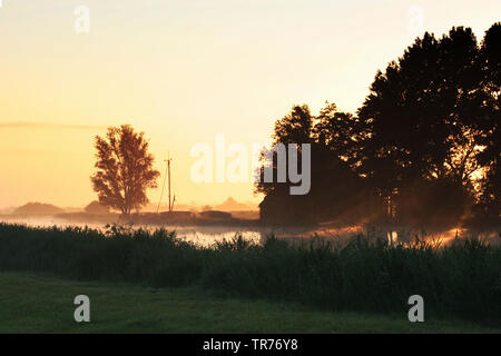 Sonnenuntergang im Nationalpark, Niederlande, De Oude Venen Nationalpark Stockfoto