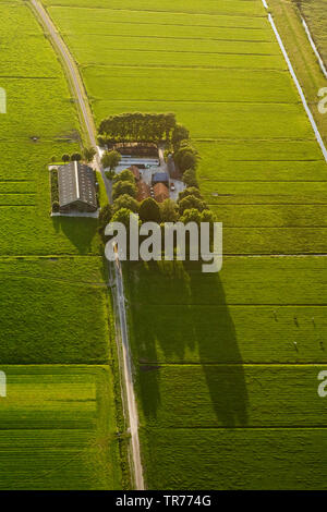 Feld Landschaft mit Bauernhaus im Abendlicht, Luftaufnahme, Niederlande, Holland Nord Stockfoto