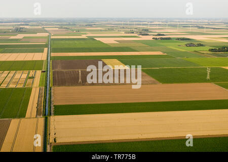 Monotone Feld Landschaft im Norden von Holland, Luftaufnahme, Niederlande, Holland Nord Stockfoto