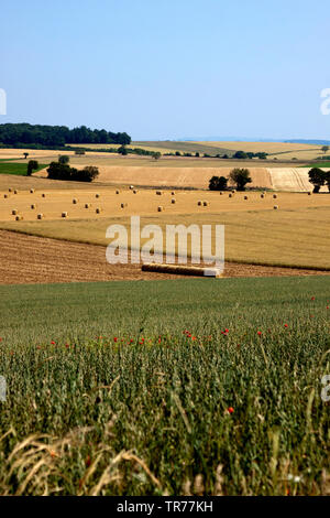 Hayballs auf gemähten Wiesen im Morvan, Frankreich Stockfoto