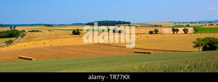 Hayballs auf gemähten Wiesen im Morvan, Frankreich Stockfoto