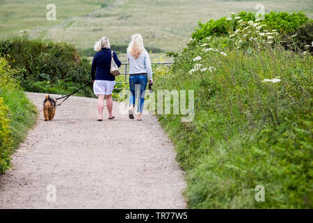 Frauen gehen ein Hund an einem Feldweg in Cornwall. Stockfoto