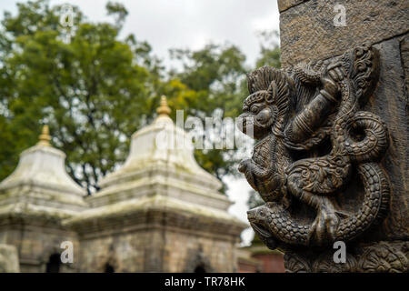 Pashupati Tempel - Kathmandu Nepal Stockfoto