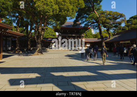 Eintritt Bereich der Meiji Schrein mit klaren Schatten eines riesigen Torii umgeben von Pinien, Tokio, Japan, Oktober 2018 Stockfoto