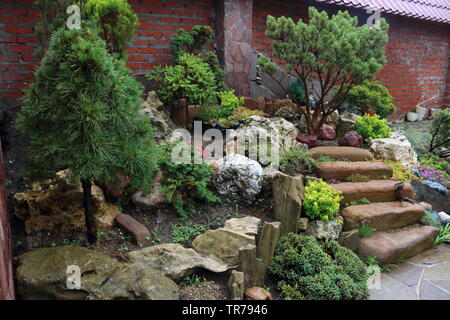 Alpine Slide im Land Stockfoto