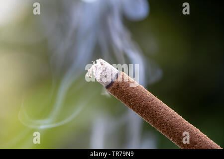 Räucherstäbchen brennen mit Rauch, Nahaufnahme, Makro. Insel Bali, in Ubud, Indonesien Stockfoto