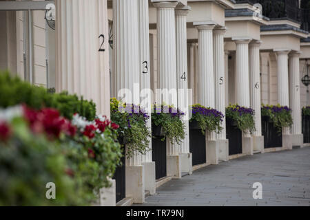 Grosvenor Crescent im Londoner Stadtteil Belgravia, geordnet als die teuersten Wohngegend in Großbritannien, mit einem durchschnittlichen Haus Preis von £ 16,918,000. Stockfoto