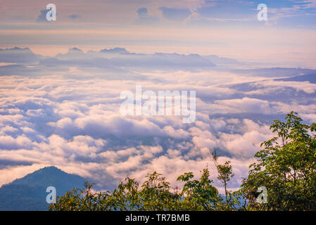 Erstaunlich Morgen Sonnenaufgang über neblige Landschaft bunten Sommer nebligen Wald Blick auf Hügel mountian Stockfoto
