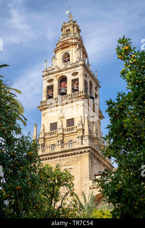 Die Mezquita, die Alte Moschee, Cordoba, Spanien. Stockfoto