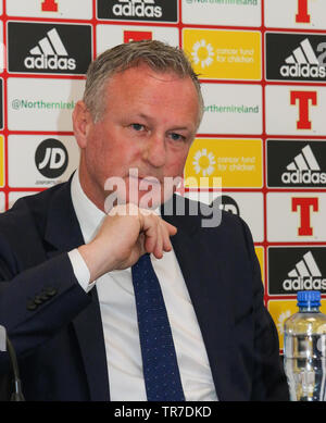 Nationale Fußball-Stadion im Windsor Park, Belfast, Nordirland, Großbritannien. 30. Mai 2019. Nordirland Manager Michael O'Neill nannte seine Mannschaft für die bevorstehende UEFA EURO 2020 Qualifikationsspiele gegen Estland (Tallinn am Samstag, den 08. Juni) und Weißrussland (Borisov, Dienstag, 11. Juni). Nordirland derzeit der Gruppe C mit sechs Punkten aus zwei Spielen. Quelle: David Hunter/Alamy Leben Nachrichten. Stockfoto