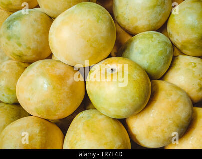 Haufen frische reife runde, gelbe Mangos in Korb mit Früchten Shop. Stockfoto