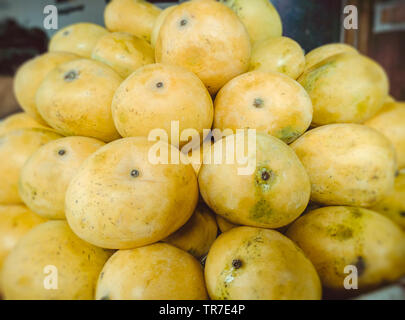 Haufen frische reife runde, gelbe Mangos in Korb mit Früchten Shop. Stockfoto