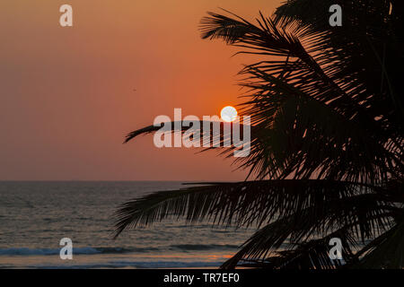 Sonnenuntergang am Ufer des Indischen Ozeans vor dem Hintergrund der Palmen. Helle Sommer Farben. GOA, Indien. Stockfoto