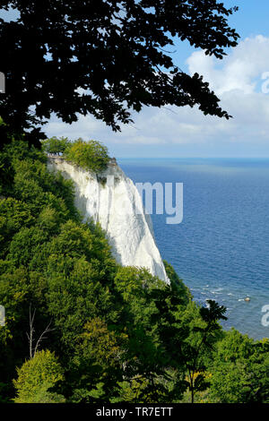 Die Konigsstuhl dramatische weißen Kreidefelsen des Nationalparks Jasmund auf der deutschen Insel Rügen in der Ostsee. Stockfoto