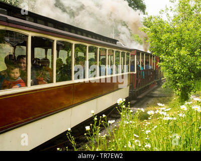 Launceston Steam Railway, Cornwall, Großbritannien Stockfoto