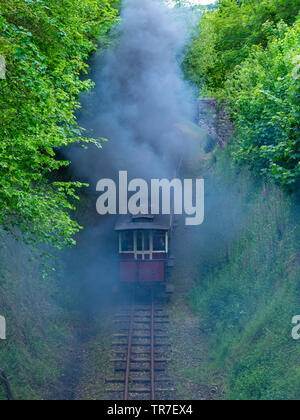 Dampflok und Waggons in den Rauch verschwinden aus dem Motor, Launceston Steam Railway, Cornwall, Großbritannien Stockfoto