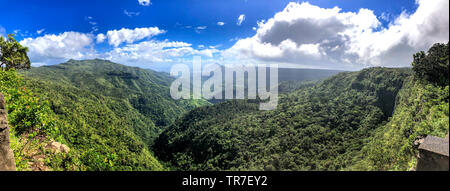 Panoramablick Luftaufnahme von tropischen Wald an einem sonnigen Tag. Stockfoto