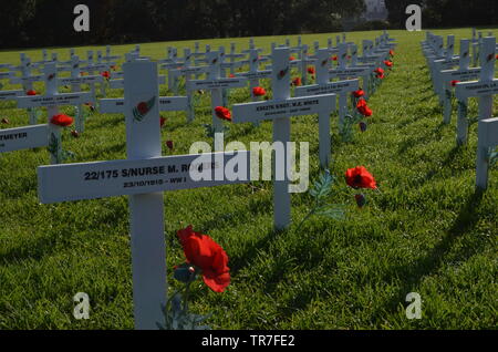 Anzac Kreuze in den Bereich der Erinnerung Stockfoto