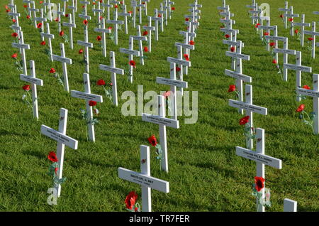 Anzac Kreuze in den Bereich der Erinnerung Stockfoto