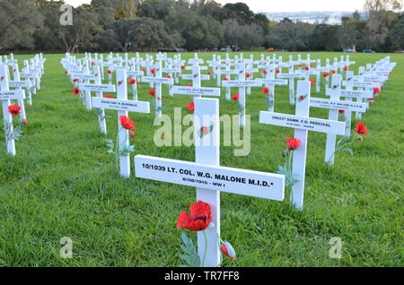 Anzac Kreuze in den Bereich der Erinnerung Stockfoto