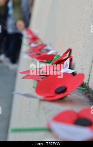 NZ RSA Roter Mohn beigesetzt Stockfoto