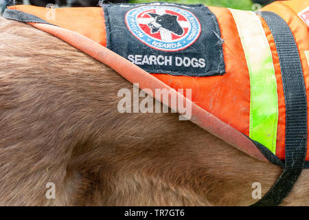 Nationale Suche und Rettung Hunde Verein Rettungshunde auf Übung im Norden Englands. Stockfoto