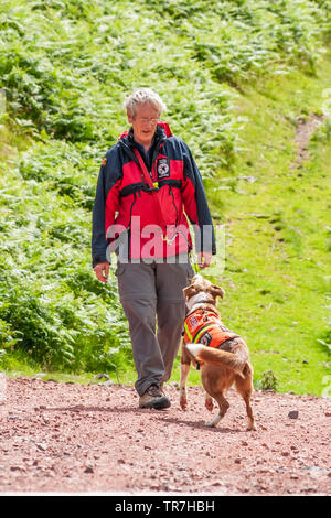 Nationale Suche und Rettung Hunde Verein Rettungshunde auf Übung im Norden Englands. Stockfoto