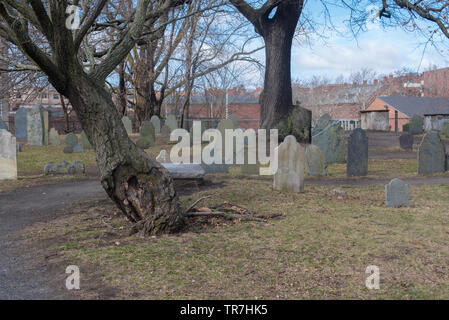 Friedhof, wo Witch Craft beschuldigt wurden in der historischen Küstenstadt von Salem in Massachusetts, USA Stockfoto