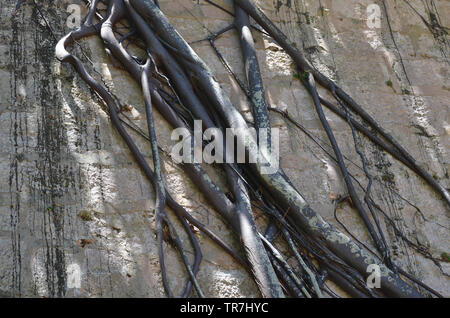 Morro Festung in der Bucht von Havanna, ein Beispiel der spanischen Kolonialzeit defensive Architektur Stockfoto