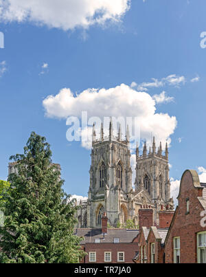 York Minster, wie aus über einige Dächer gesehen. Einen großen Baum im Vordergrund und ein blauer Himmel mit Wolken ist oben. Stockfoto