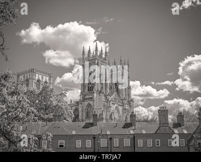 York Minster, wie aus über einige Dächer gesehen. Ein Baum im Vordergrund und ein Himmel mit Wolken ist oben. Stockfoto