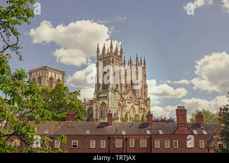 York Minster, wie aus über einige Dächer gesehen. Ein Baum im Vordergrund und ein Himmel mit Wolken ist oben. Stockfoto