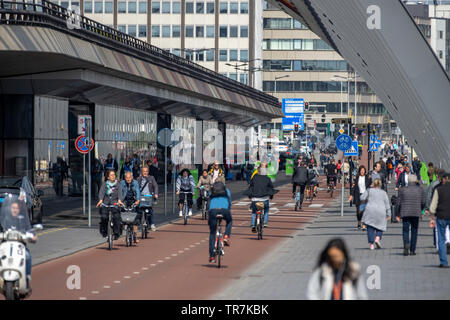 Amsterdam, Niederlande, Radweg, Fahrrad Highway, Teil des innerstädtischen Radwegenetzes in Amsterdam Hauptbahnhof, Busbahnhof, Stockfoto