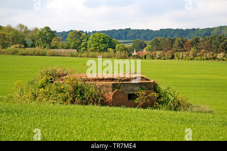 Ein Weltkrieg zwei Bunker in einem Feld auf der North Norfolk Coast in Weybourne, Norfolk, England, Vereinigtes Königreich, Europa. Stockfoto