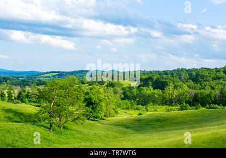 Schönen Hügeln im Frühling bei Sky Meadow State Park, Virginia, USA Stockfoto