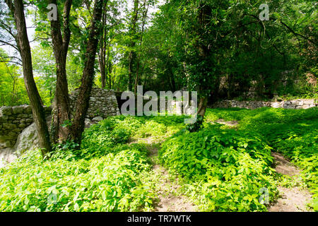 Mystischen Wald in der Nähe von auriolles in der Region Ardèche in Frankreich Stockfoto