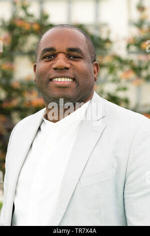 Hay Festival, Heu auf Wye, Powys, Wales, Großbritannien - Donnerstag 30 Mai 2019 - David Lammy MP im Hay Festival über sein neues Buch Stämme als Teil der Octavia Hill Vortrag sprechen. Foto Steven Mai/Alamy leben Nachrichten Stockfoto