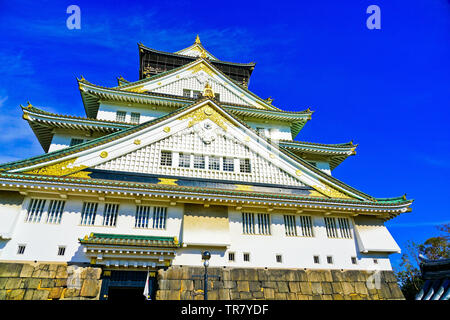 Blick auf die Burg von Osaka im Herbst in Osaka, Japan. Stockfoto