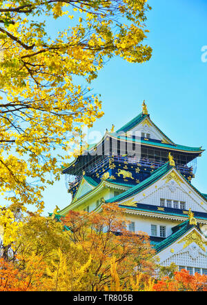 Blick auf die Burg von Osaka im Herbst in Osaka, Japan. Stockfoto