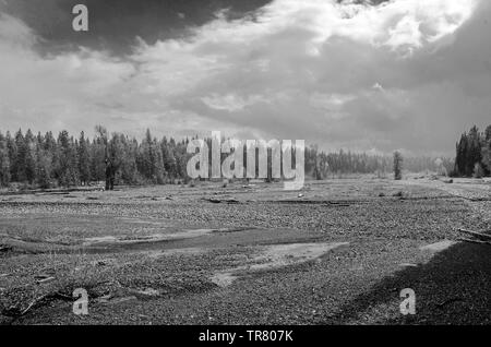 Trockenes Flussbett von Pilgrim Creek im Teton National Park im US-Bundesstaat Wyoming Stockfoto